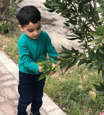 Nursery in Abu Dhabi